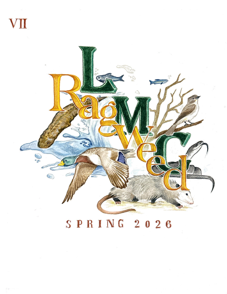 RagWeed Illustrative Cover