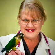 Profile of Tracy Ritzman