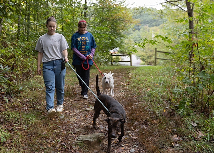Two people walk two dogs on leashes through a wooded area.