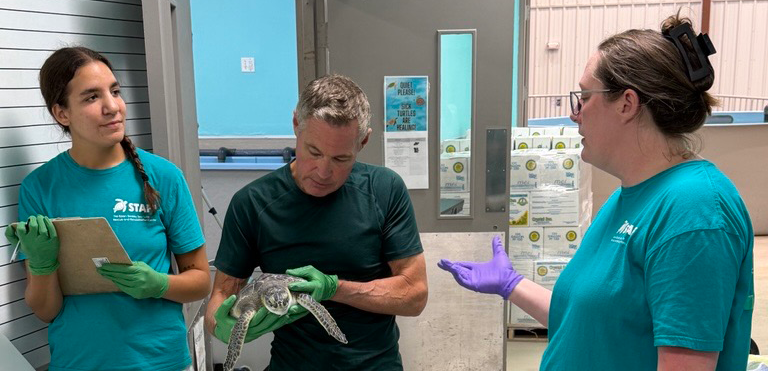 Lapera holds a clipboard and stands next to Jeff Corwin, who is examining a sea turtle patient.