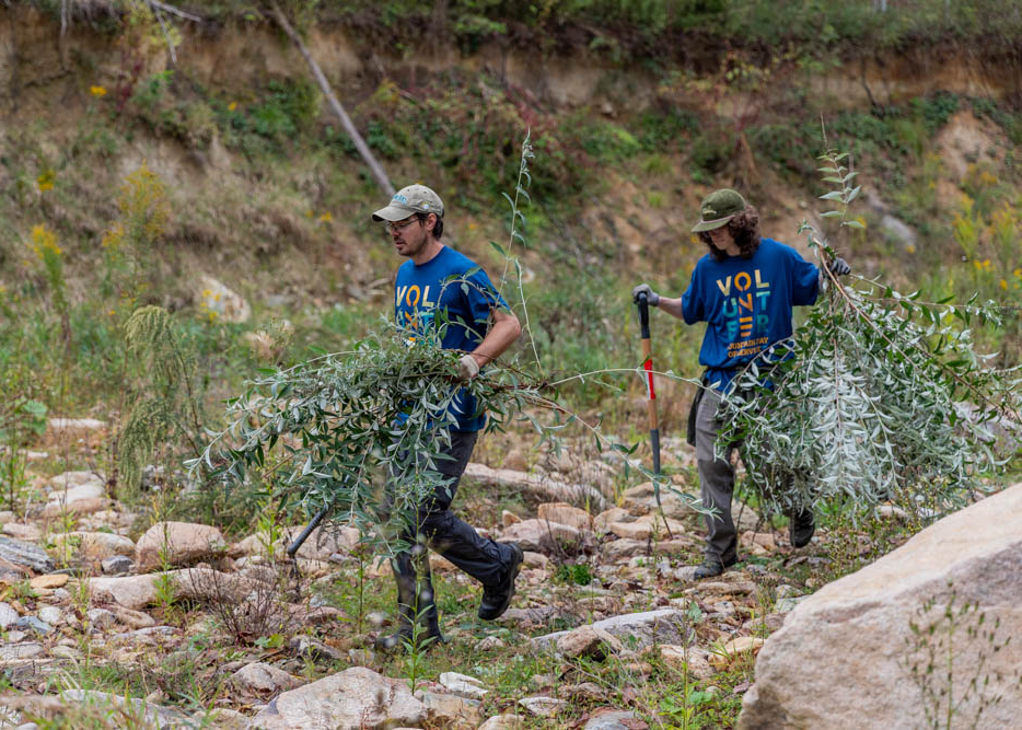 Two volunteers carry tree branches through the Elk Valley Preserve.