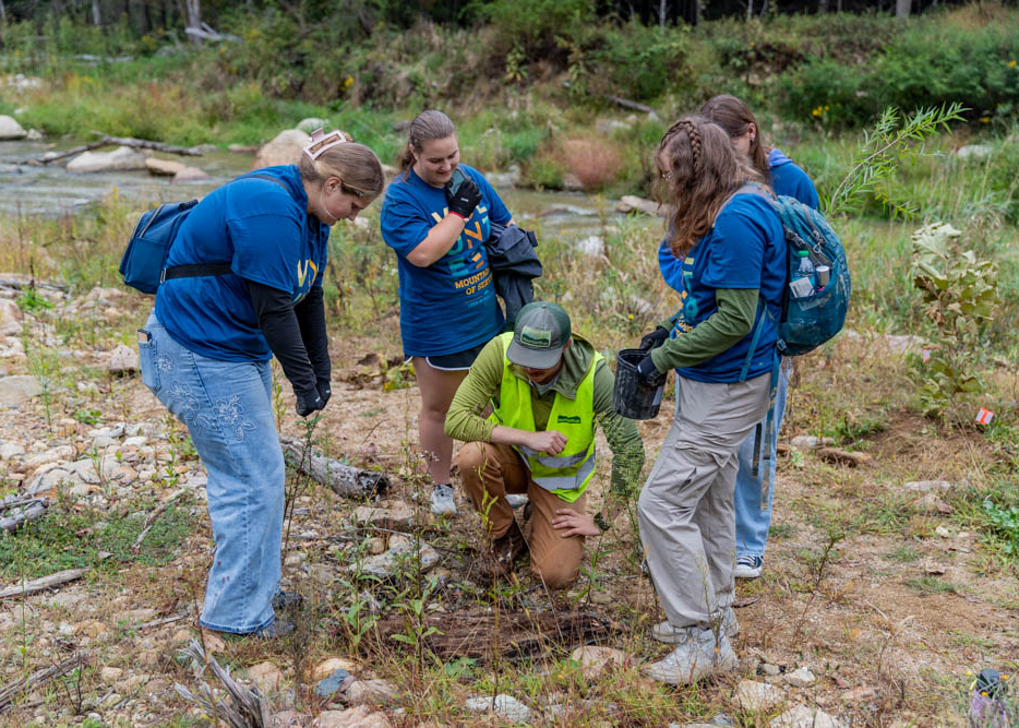 A group of volunteers gather around a newly staked tree.