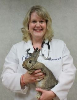 North Carolina Regional Wildlife Medicine Symposium at Lees-McRae College