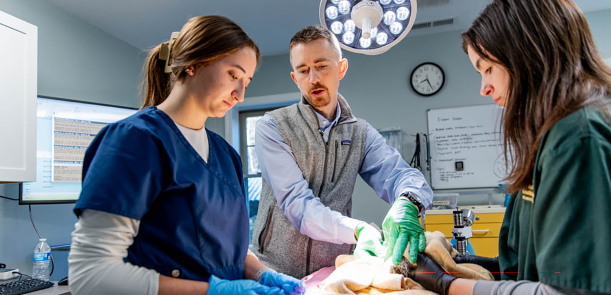 Two students and a professor examine an animal patient on a table in the May Wildlife Rehabilitation Center.
