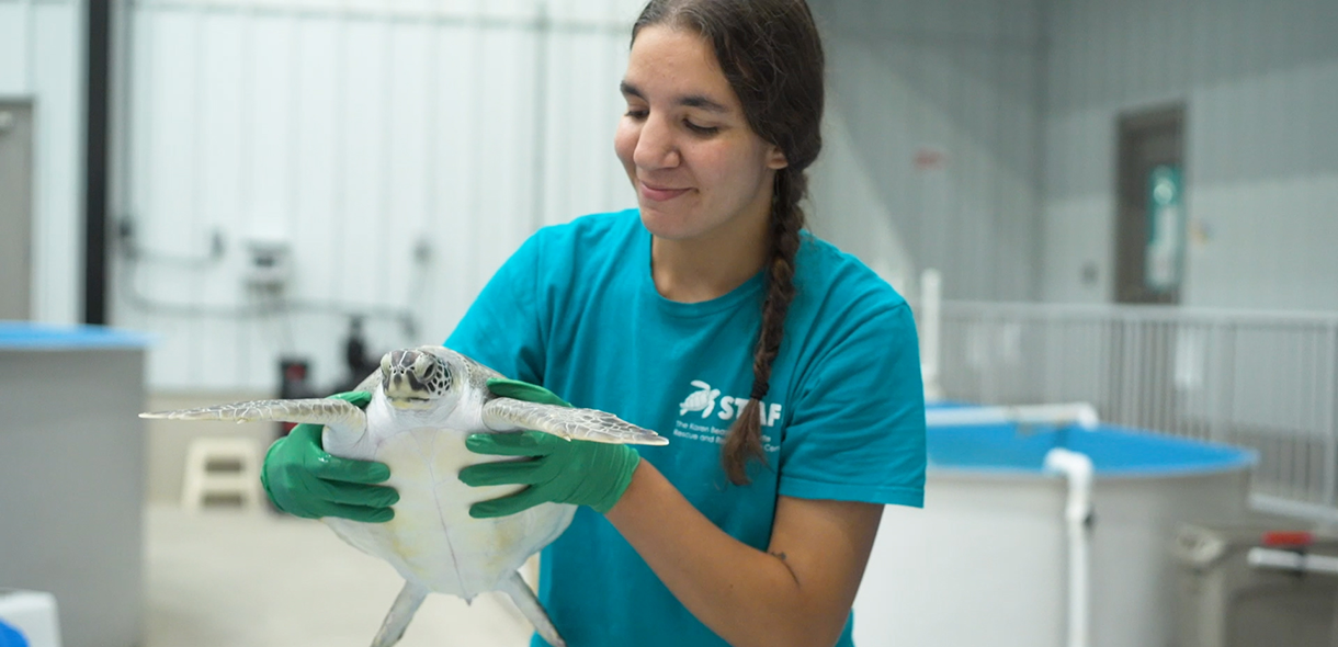Destiny Lepera wears gloves and holds up a sea turtle.