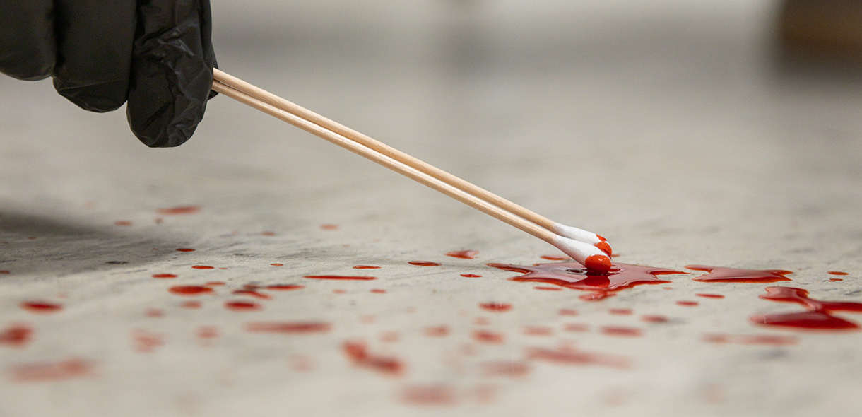 A gloved hand uses two swabs to collect a sample of fake blood from the floor.
