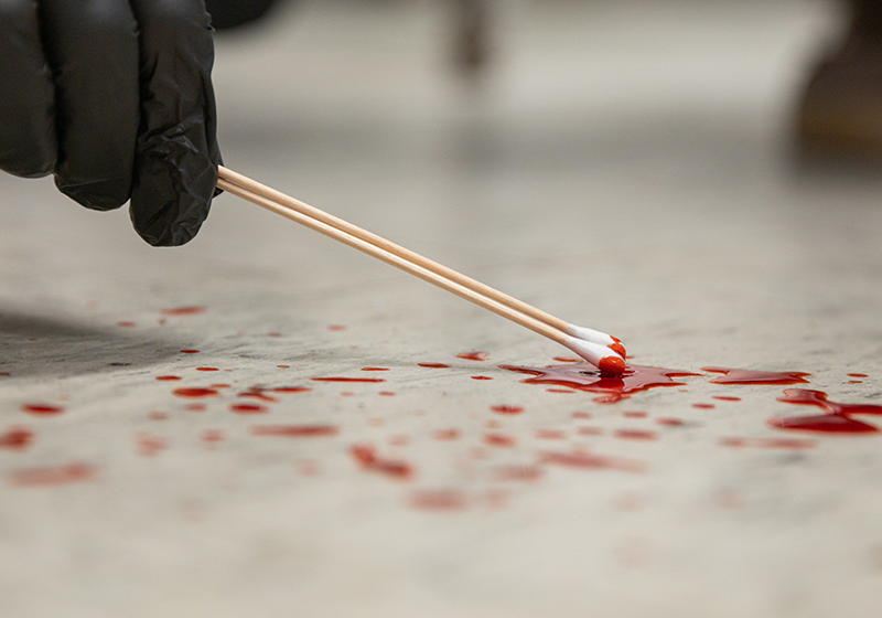 A gloved hand uses two swabs to collect a sample of fake blood from the floor.